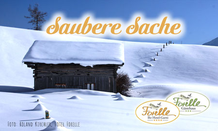 Saubere Sache Hotel Forelle