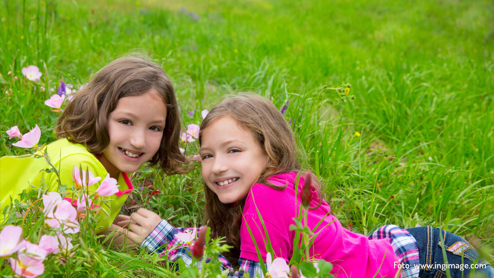 familien-berge-sommer-foto-ingimage-tux-forelle